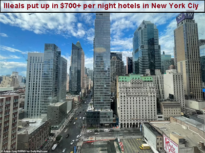 ILLEGALS put  up in $700+ Per niht hotels using FEMA money