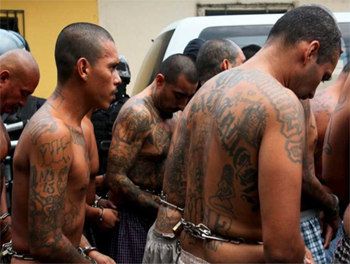 Criminals posing as asylum seekers flood the Southern US border